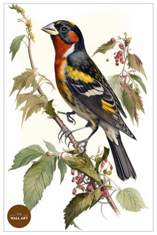 images/products/grosbeak_bird_iii/Grosbeak_bird III_WHITE_P.jpg